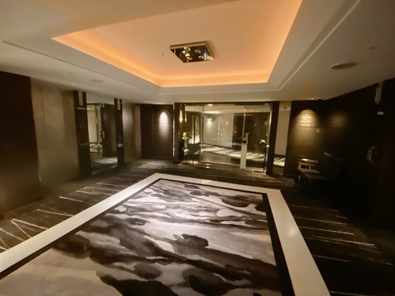 f:id:ypflenz:20220214233551j:plain