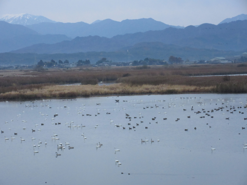 f:id:yporcini:20161119063937j:plain f:id:yporcini:20161119063937j:plain