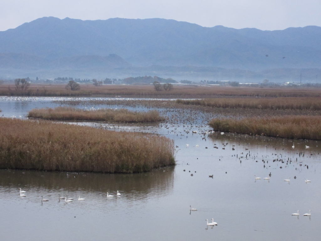 f:id:yporcini:20161119064522j:plain f:id:yporcini:20161119064522j:plain