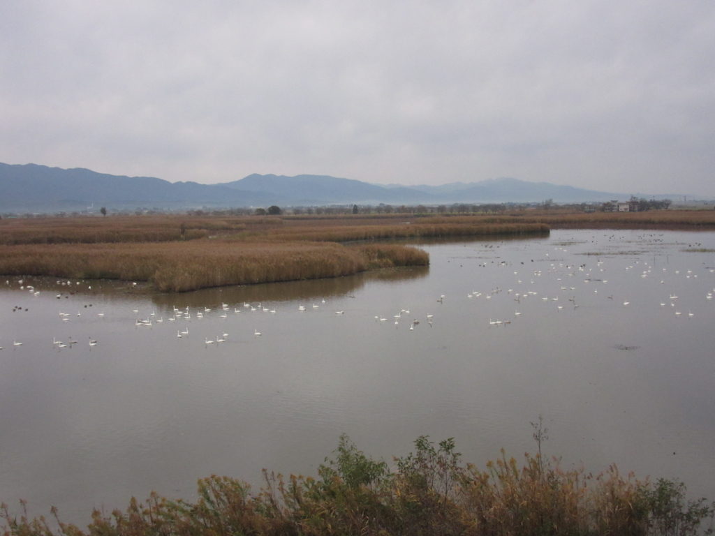 f:id:yporcini:20161119070816j:plain f:id:yporcini:20161119070816j:plain