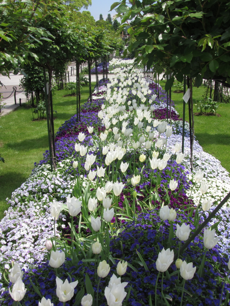 f:id:yporcini:20170424123906j:plain f:id:yporcini:20170424123906j:plain