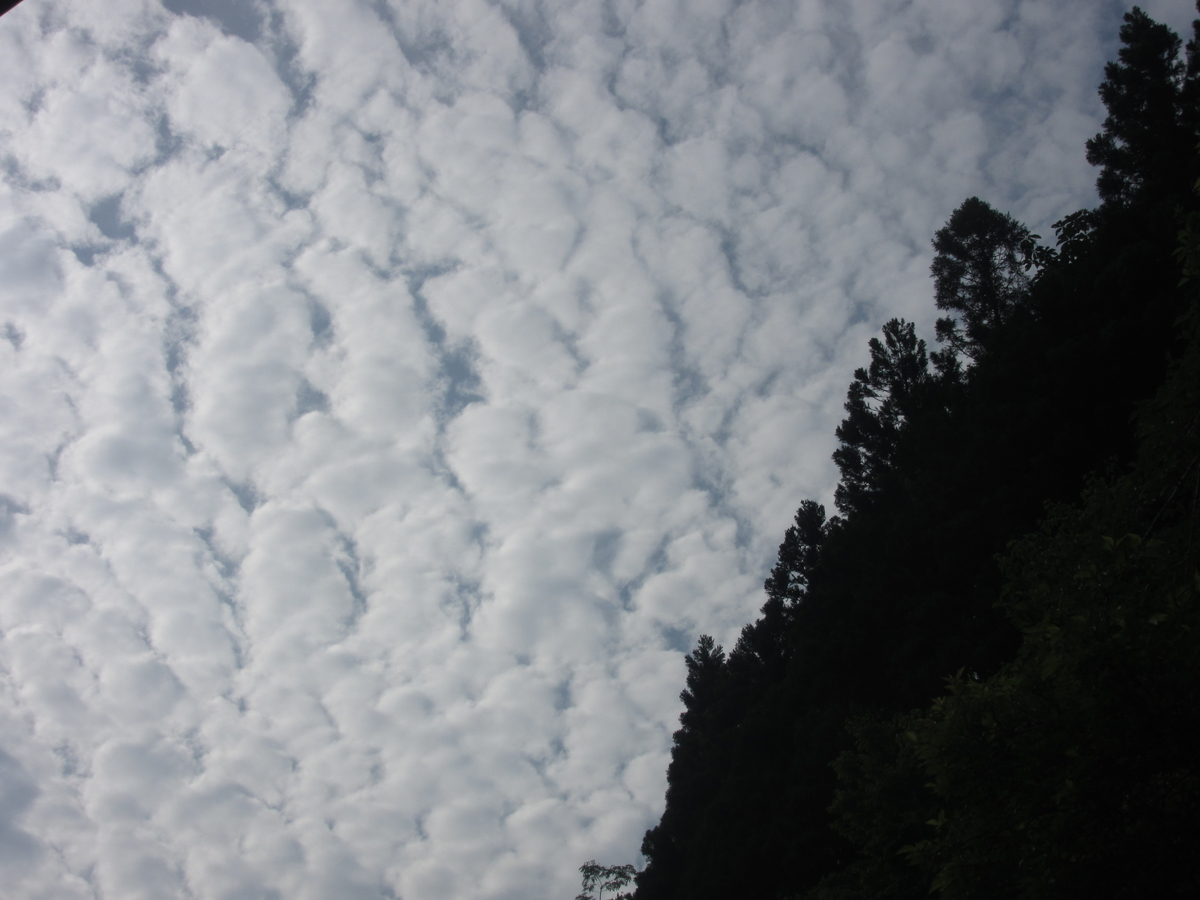 f:id:yporcini:20190627074704j:plain f:id:yporcini:20190627074704j:plain