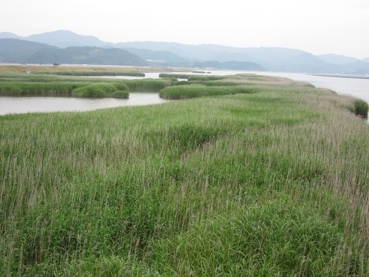 f:id:yporcini:20190627100114j:plain f:id:yporcini:20190627100114j:plain