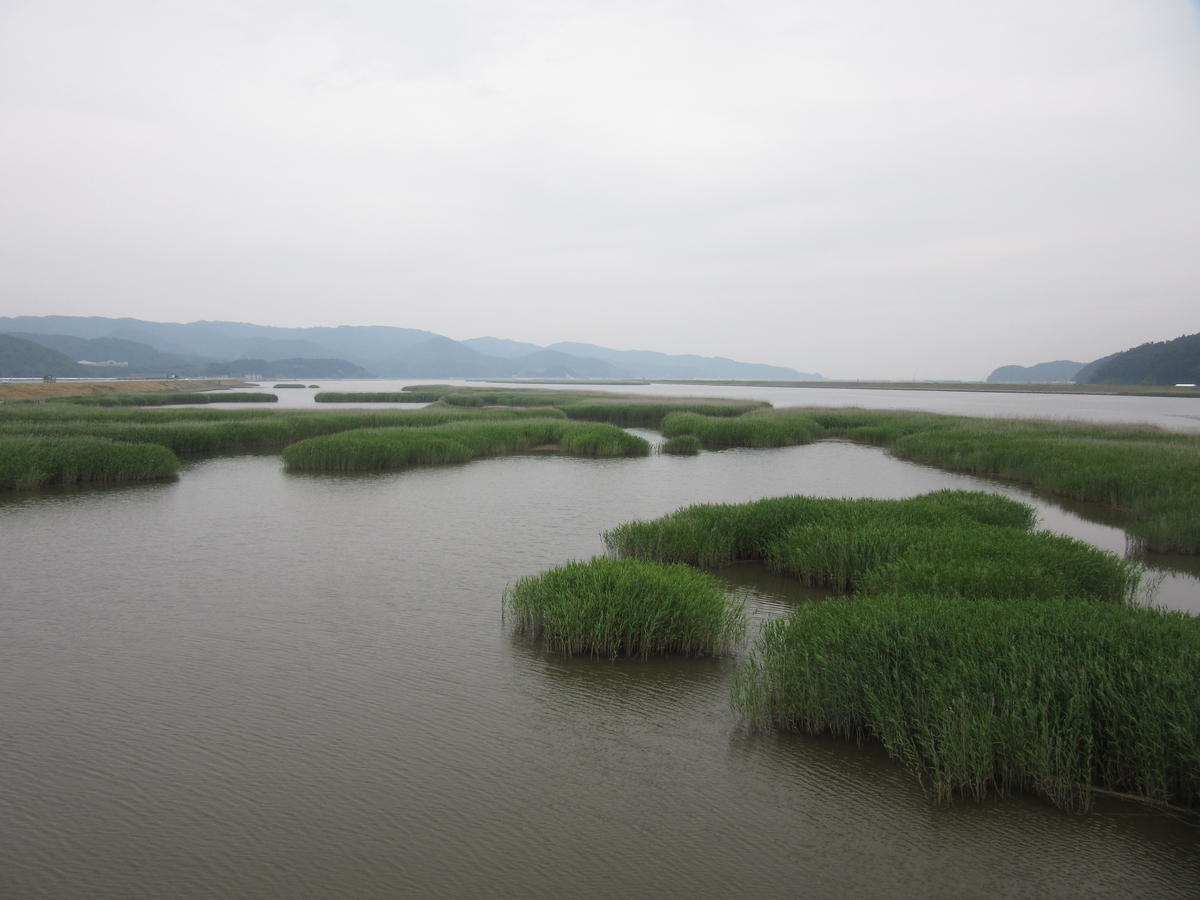f:id:yporcini:20190627100313j:plain f:id:yporcini:20190627100313j:plain
