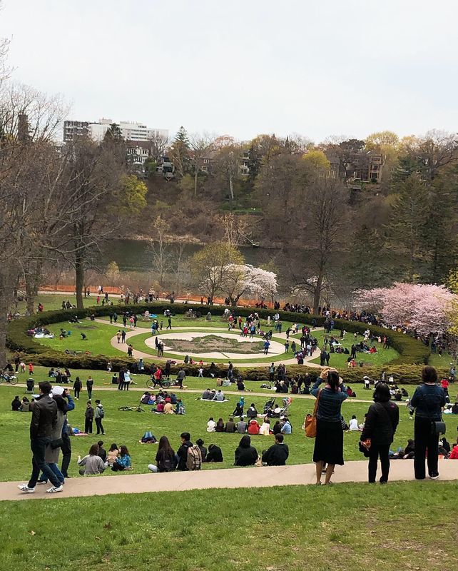 f:id:yrk_Toronto:20190524035210j:plain