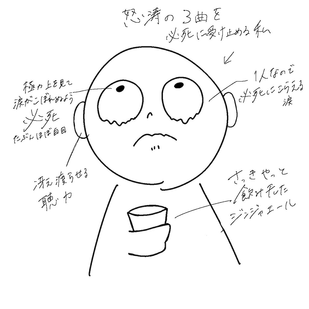 f:id:yrk_sg:20250720192443j:image f:id:yrk_sg:20250720192443j:image