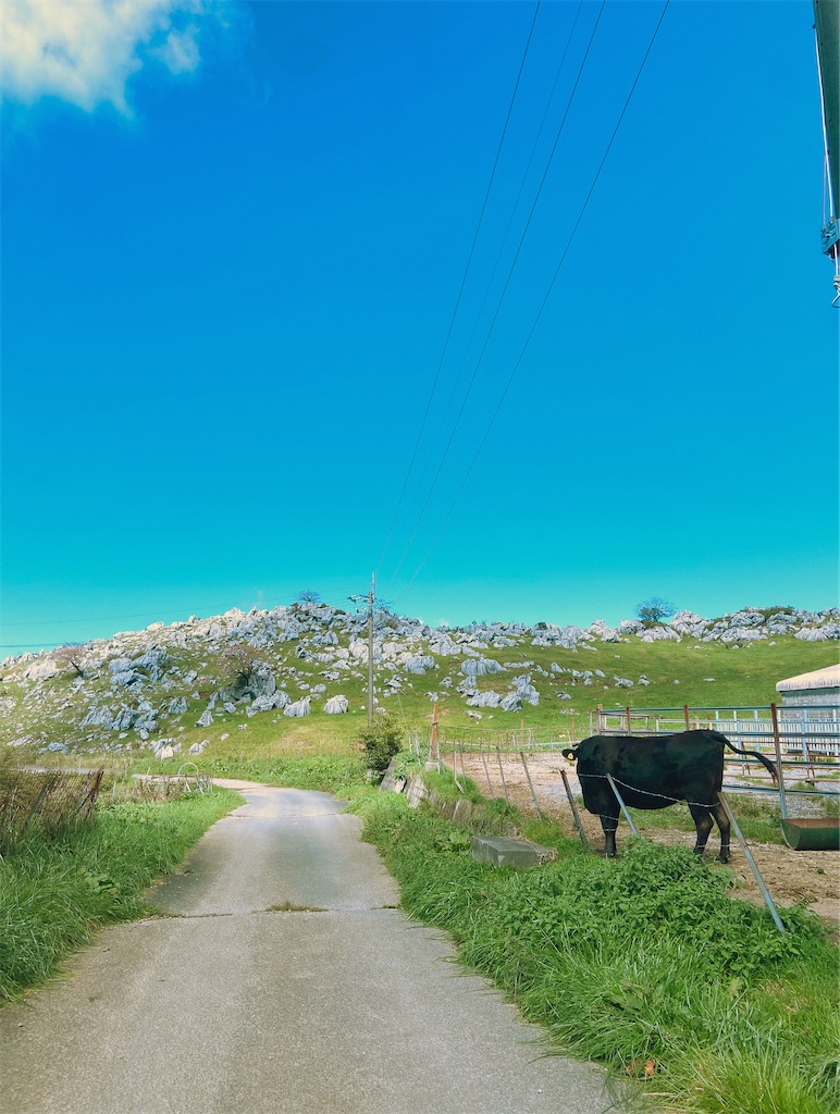 f:id:yrk_sg:20251020191407j:image f:id:yrk_sg:20251020191407j:image