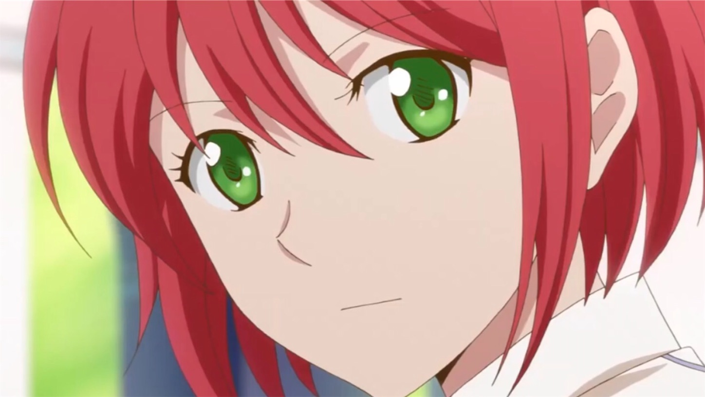 赤の髪色のキャラクターを集めてみた 不惑の肉体改革