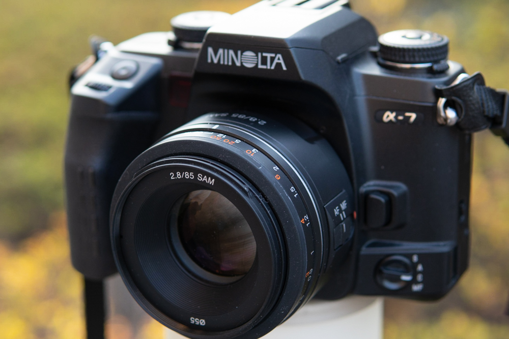 旧古河庭園 with MINOLTA α-7 - アルファ・プラスアルファ
