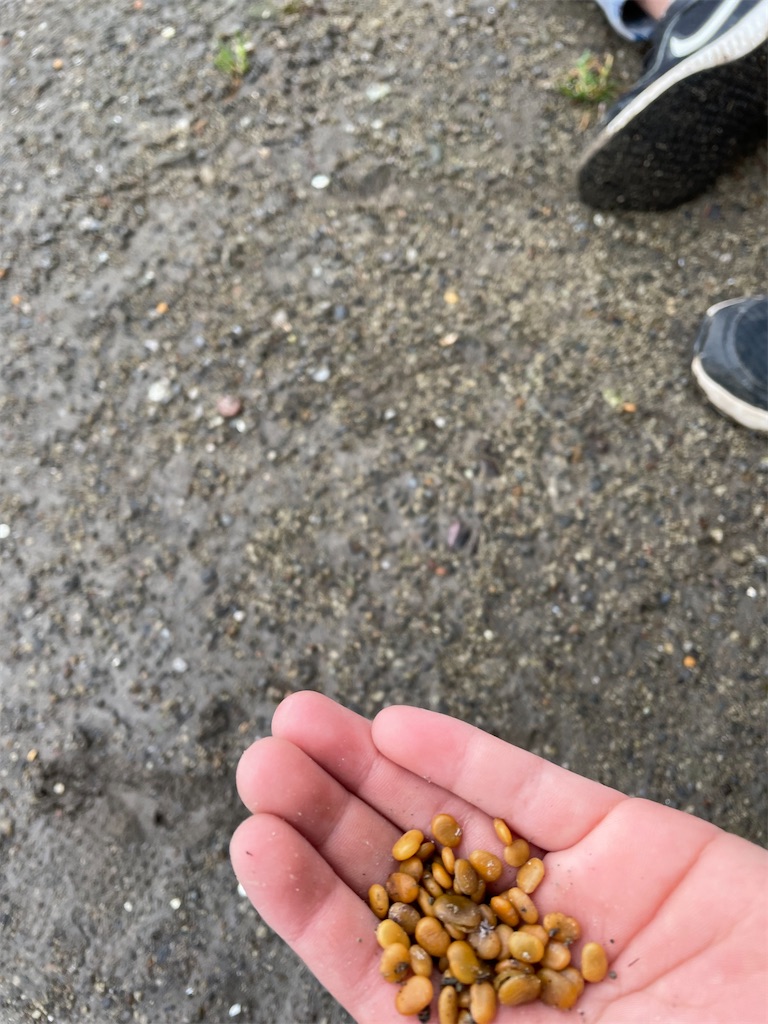 f:id:ys-cmgoukaku:20220320050223j:image