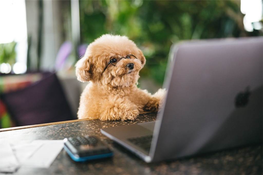 f:id:ys-cmgoukaku:20220428191927j:image