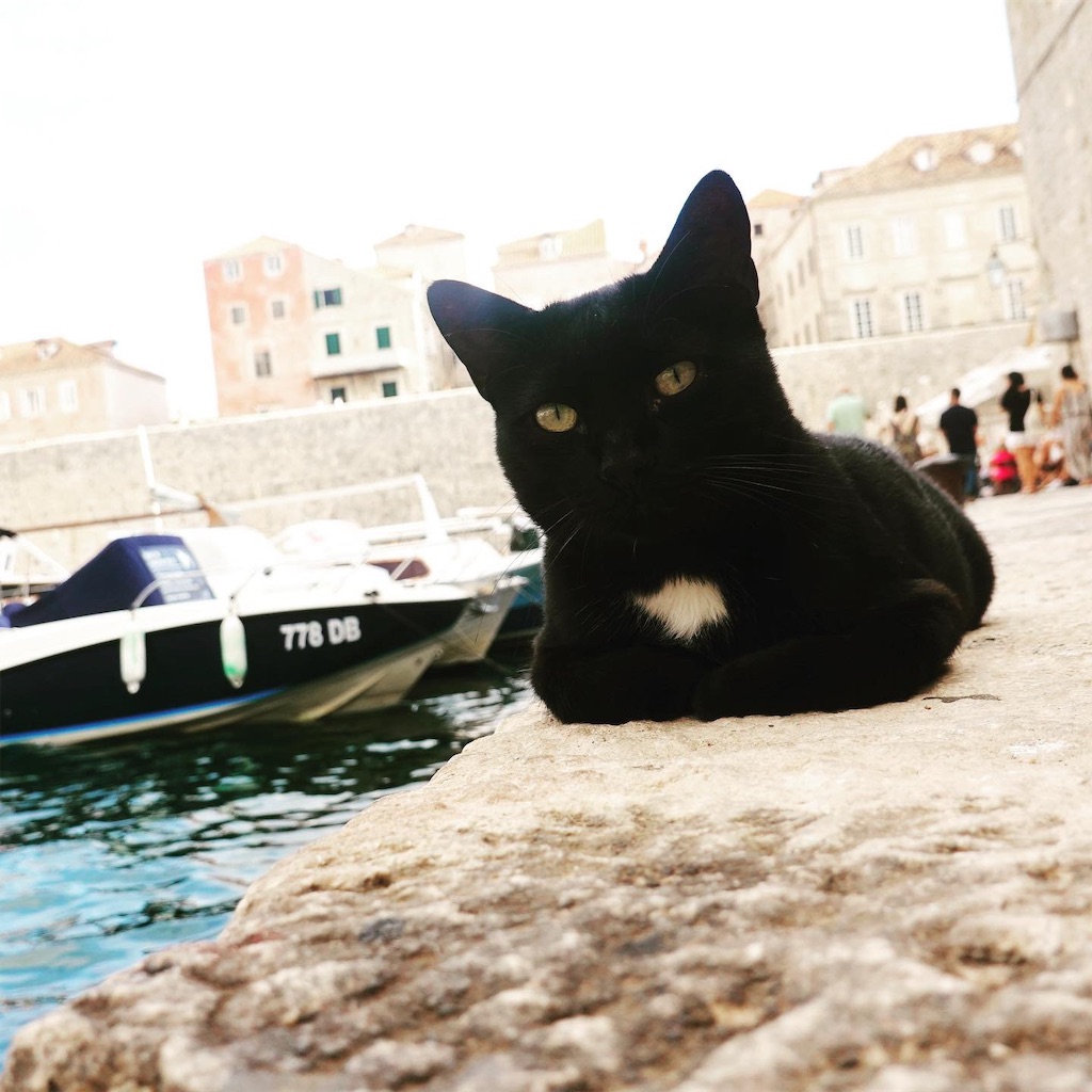 f:id:ys790524:20191101090722j:image