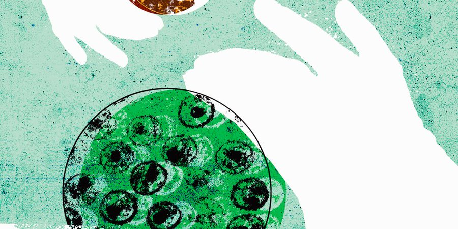 f:id:ys98:20191025223555p:plain f:id:ys98:20191025223555p:plain