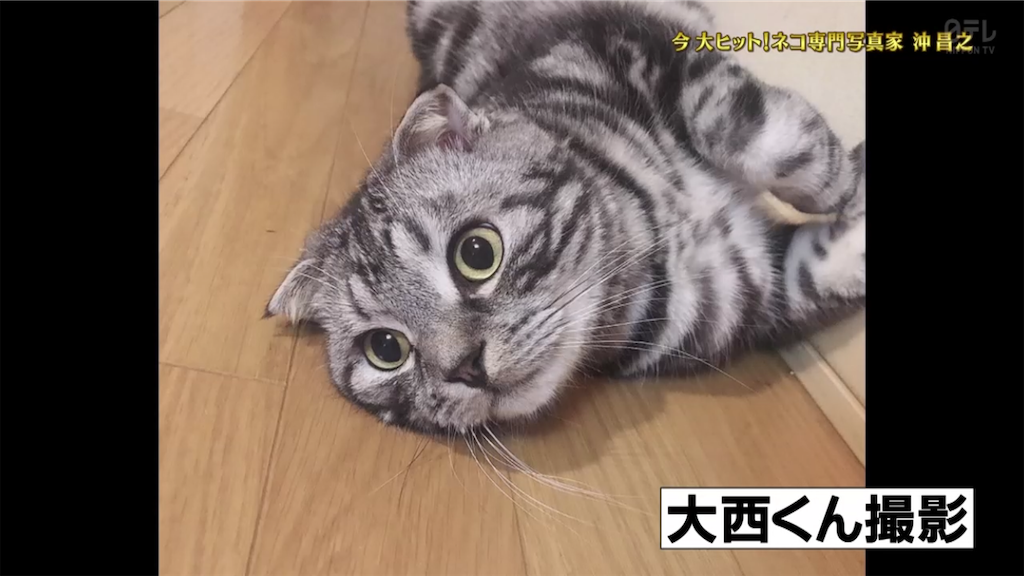 f:id:ys_p:20200718052832p:image f:id:ys_p:20200718052832p:image