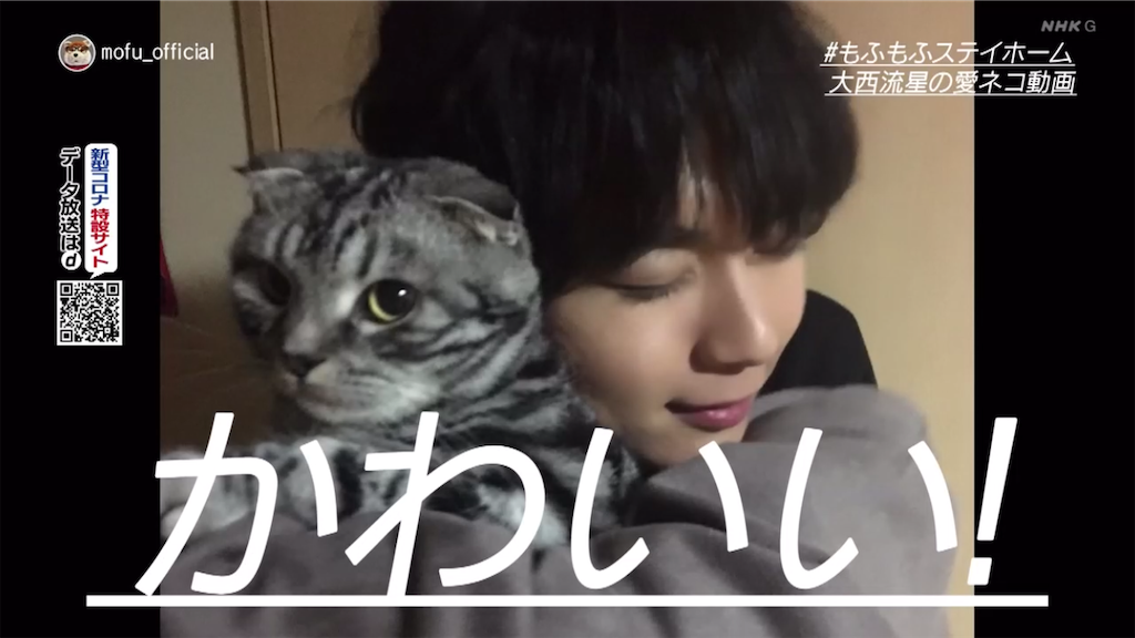 f:id:ys_p:20200718052937p:plain f:id:ys_p:20200718052937p:plain
