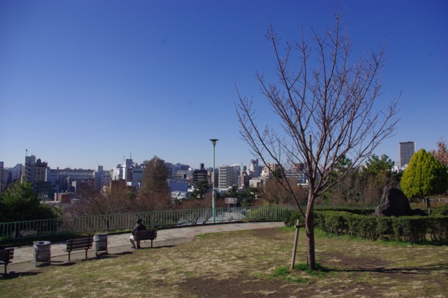 西郷山公園の一番高いところから