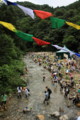 [fujirock]