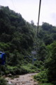 [fujirock]