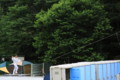 [fujirock]
