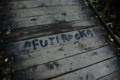 [fujirock]