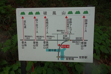 DSC07855.jpg