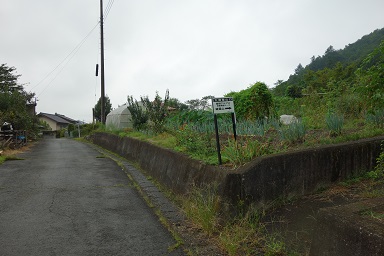 DSC07856.jpg