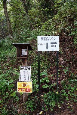 DSC07858.jpg