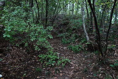 DSC07859.jpg