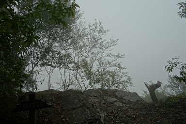 DSC07865.jpg