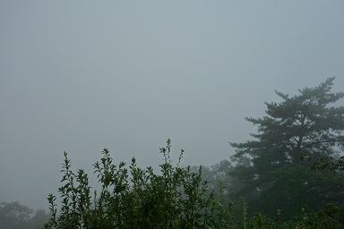 DSC07871.jpg