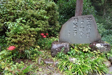 DSC07888.jpg