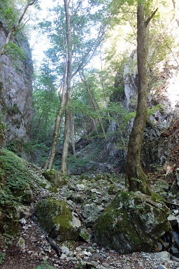 DSC08068.jpg