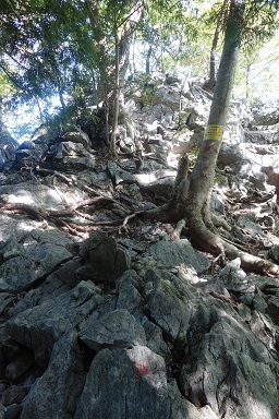 DSC08072.jpg