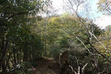 DSC08079.jpg