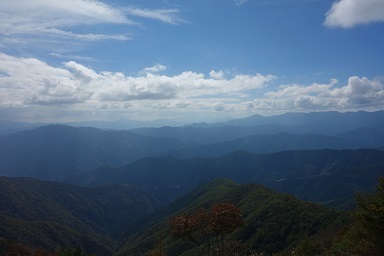 DSC08087.jpg