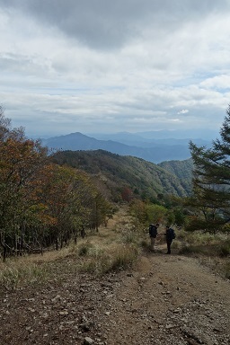 DSC08091.jpg