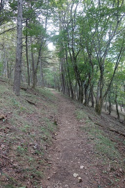 DSC08094.jpg