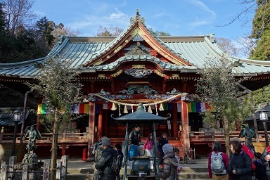 DSC08529.jpg