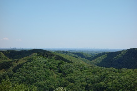 DSC08943.jpg