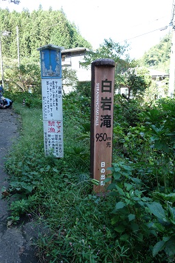 DSC07899.jpg