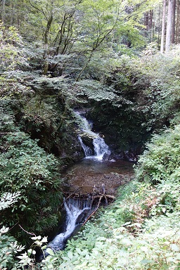 DSC07903.jpg