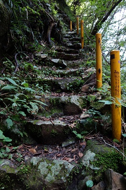 DSC07909.jpg