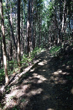 DSC07920.jpg