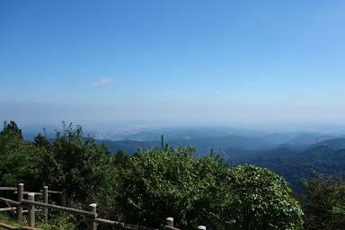 DSC07935.jpg