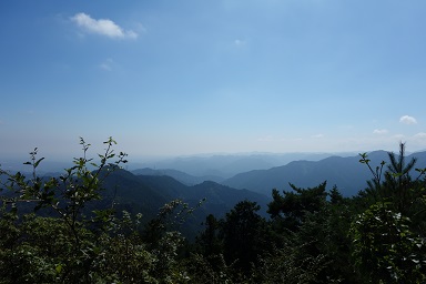 DSC07936.jpg