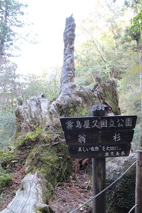 f:id:ysdnbm:20190429134213j:plain f:id:ysdnbm:20190429134213j:plain