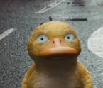 名探偵ピカチュウ の実写化映画の予告編が解禁 コダック お前誰やねん 気になるポケモンも カキコミぱれーど 名探偵ピカチュウ の実写化映画の予告編が解禁 コダック お前誰やねん 気になるポケモンも カキコミぱれーど