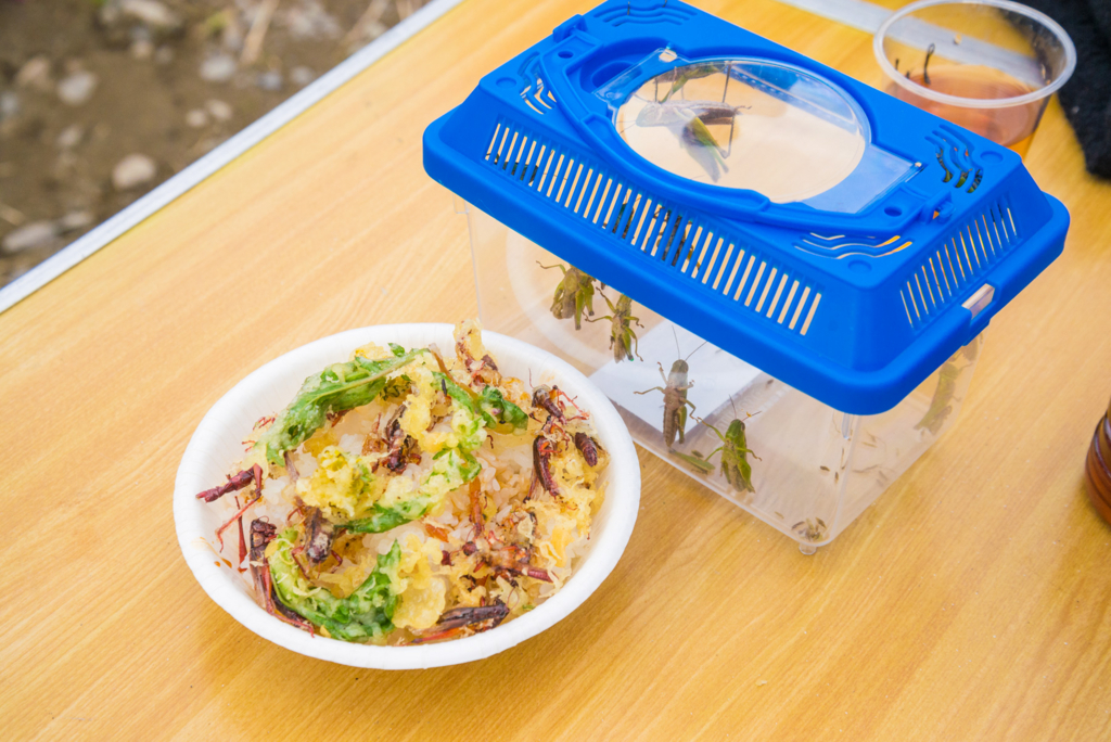 f:id:yshinoearth:20170129121329j:plain f:id:yshinoearth:20170129121329j:plain