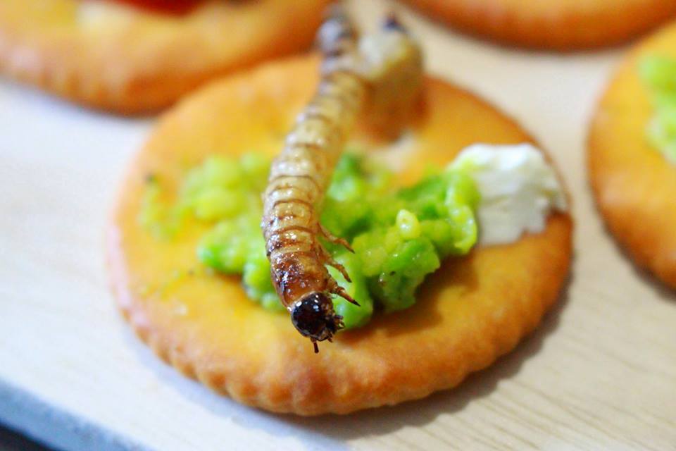 f:id:yshinoearth:20170129121351j:plain f:id:yshinoearth:20170129121351j:plain