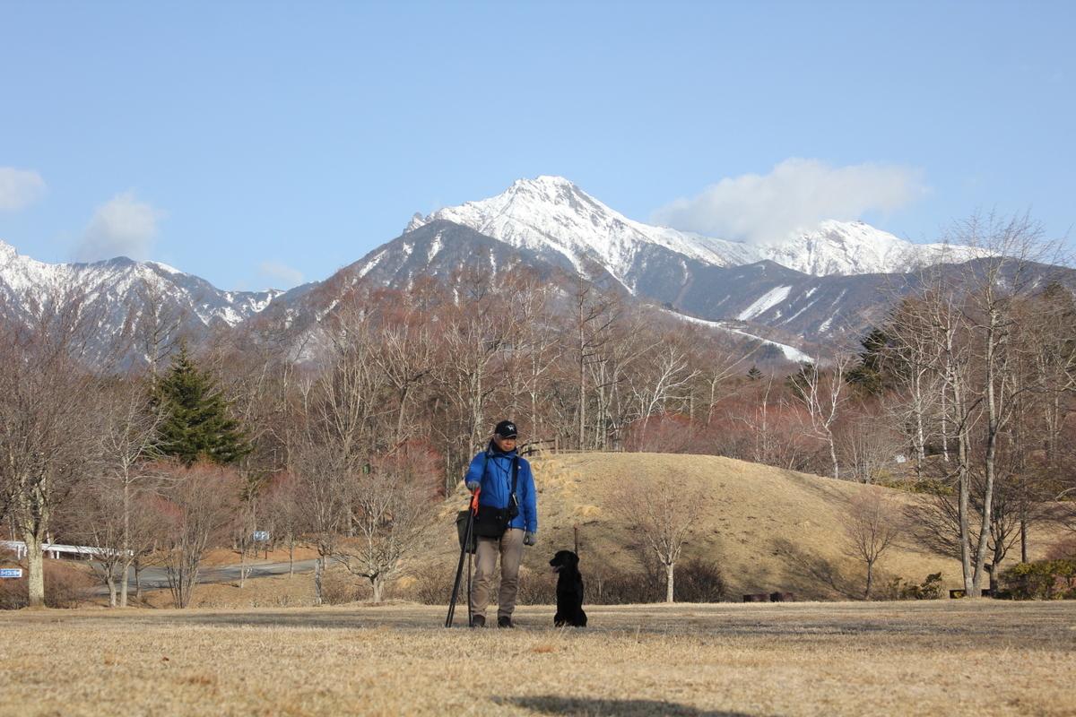 f:id:ysj:20190322081356j:plain f:id:ysj:20190322081356j:plain